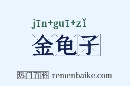 金龟子是什么意思的图片
